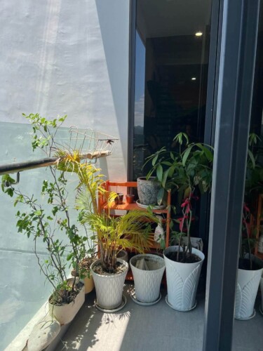 Ban công căn hộ