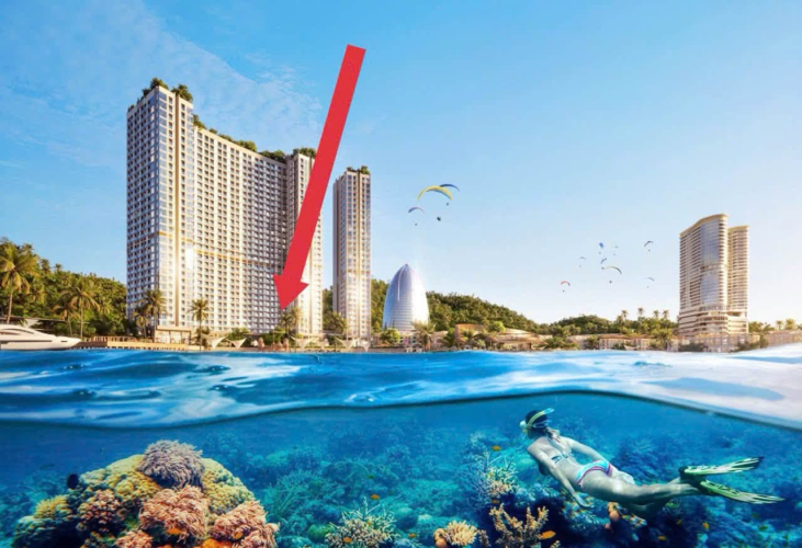 Hồ bơi dự án