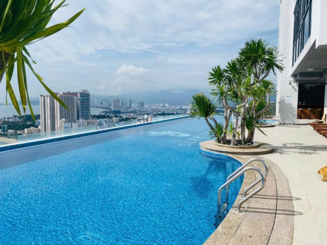 Hồ bơi dự án